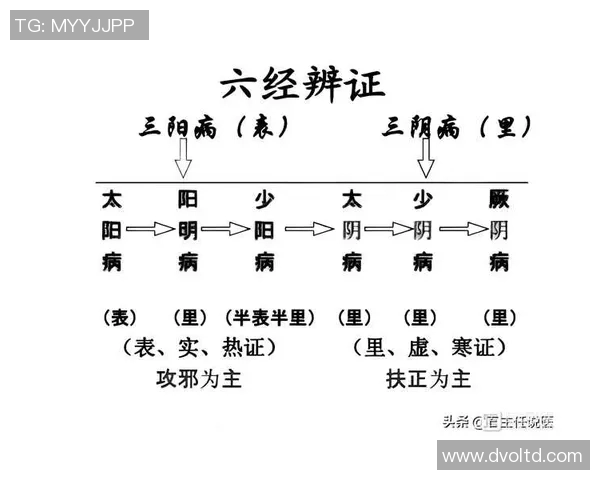 伤寒论》解析:张仲景辨证下太阳少阳合病与并病的区别及柴胡桂枝汤应用 伤寒论》解析:张仲景辨证下太阳少阳合病与并病的区别及柴胡桂枝汤应用